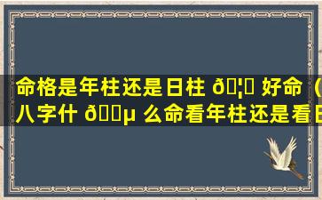 命格是年柱还是日柱 🦆 好命（八字什 🐵 么命看年柱还是看日柱）